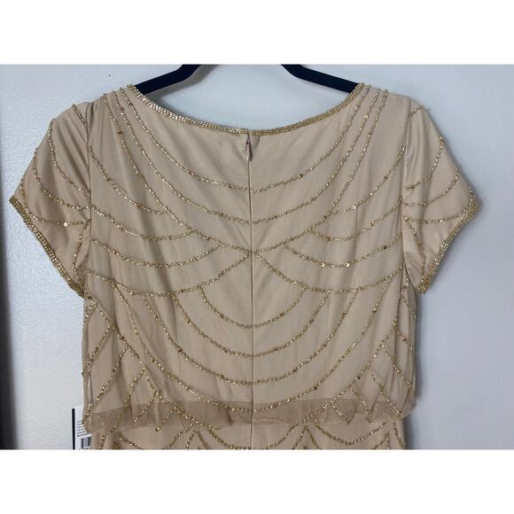 NWT ADRIANNA PAPELL DRESS GOWN 8P BRIDESMAID EVENING FORMAL WEDDING GUEST - Picture 10 of 15